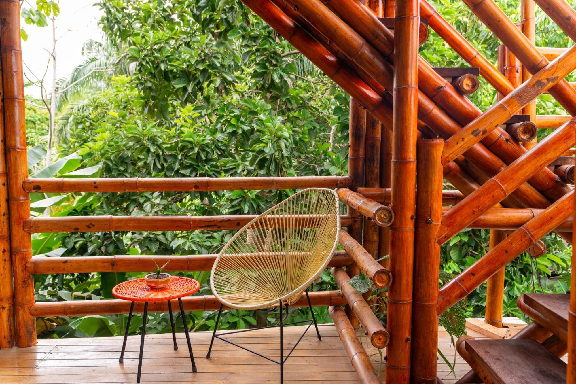 Tayrona Juanchos House Hostel Los Naranjos Kültér fotó